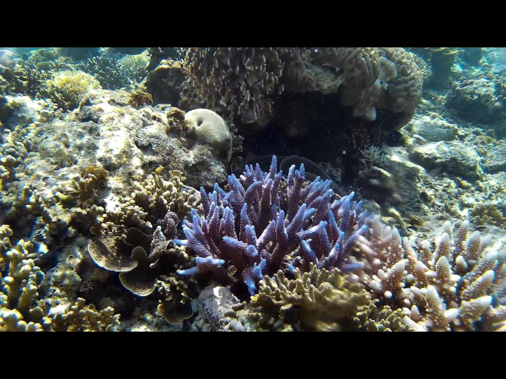 גילי מנו Gili Garden Bungalow מראה חיצוני תמונה