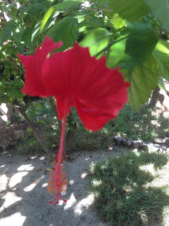 גילי מנו Gili Garden Bungalow מראה חיצוני תמונה